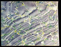 Pencil Sketches by Sophia Long Deani