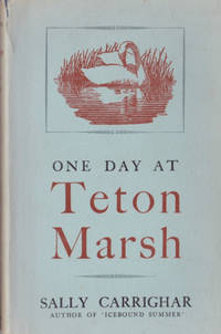 One Day at Teton Marsh