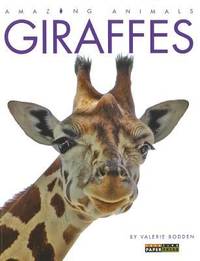 Amazing Animals: Giraffes