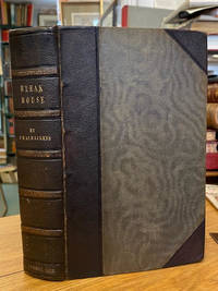 image of Bleak House