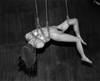 Untitled (1997) : Nobuyoshi Araki: Self, Life, Death Hardback English