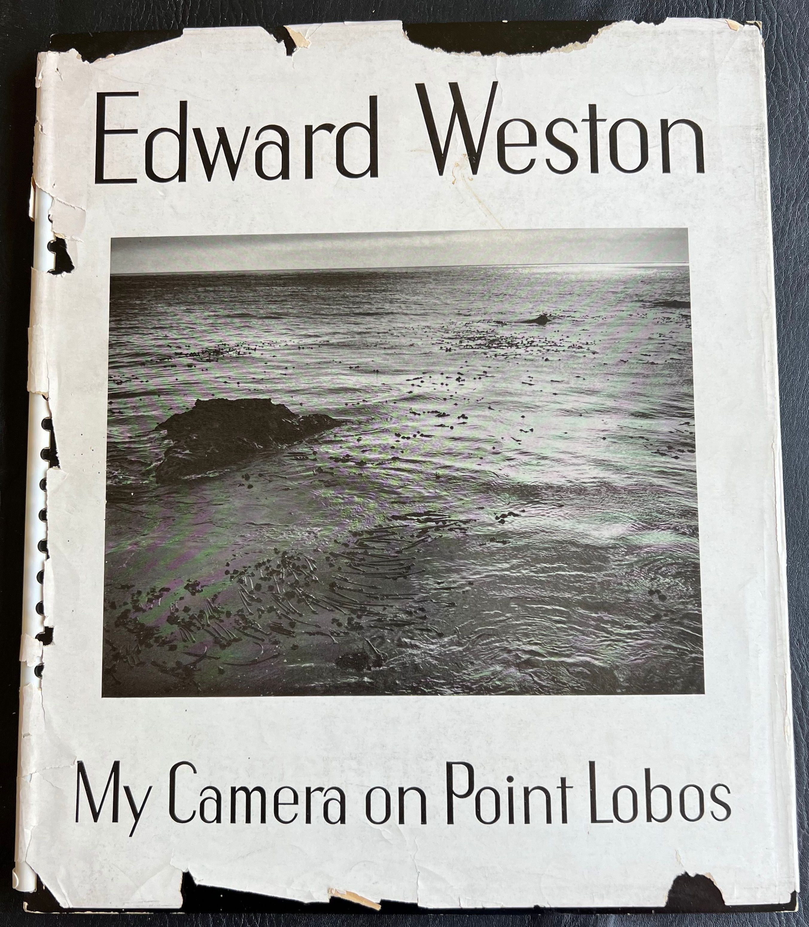 My Camera on Point Lobos