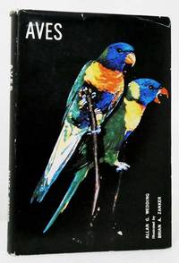 image of Aves