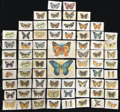 Collection of Seventy (70) Butterfly and Moth Tobacco Silks