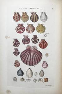 Illustrated Index of British Shells