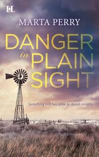 Danger in Plain Sight Hqn