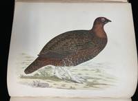 BRITISH GAME BIRDS AND WILDFOWL