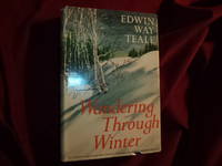 image of Wandering Through Winter.