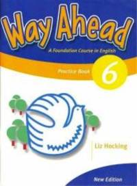 Way Ahead 6 Gram Practice Revised