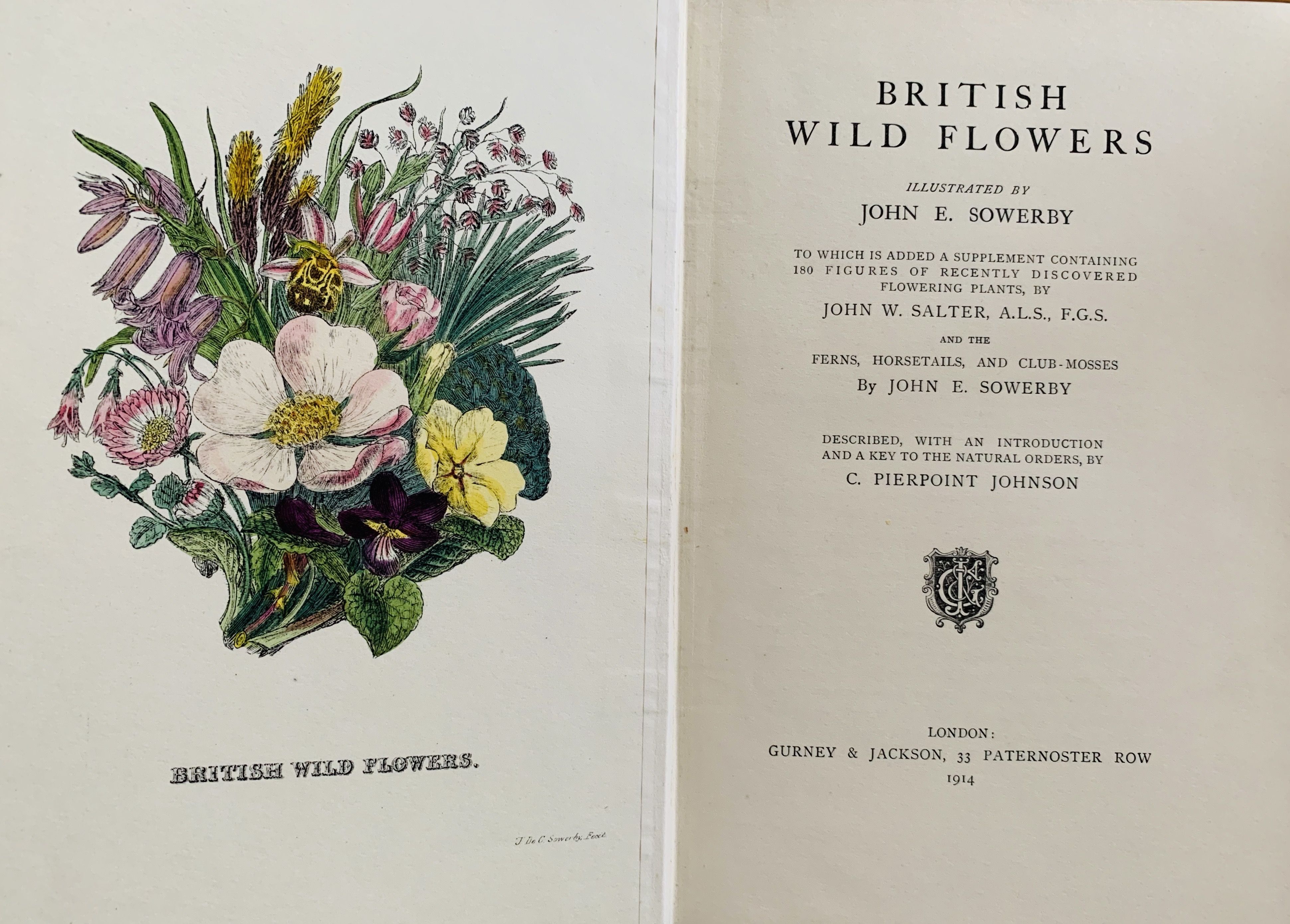 BIBLIO British Wild Flowers Illustrated By John E. Sowerby. by