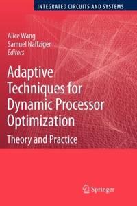 Adaptive Techniques for Dynamic Processor Optimization : Theory and Practice