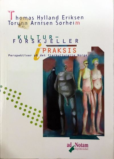 Kulturforskjeller i praksis. Perspektiver på det…