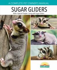 Sugar Gliders