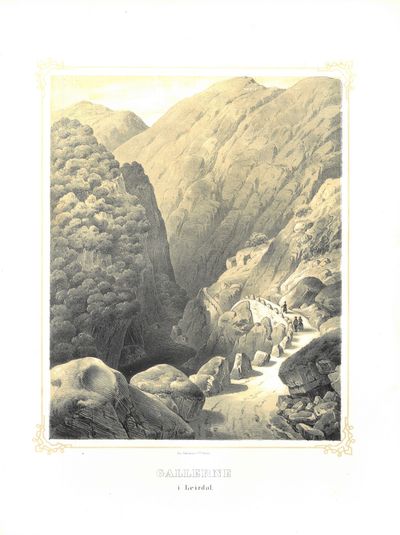 Gallerne i Leirdal.