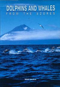 Dolphins and whales from the Azores