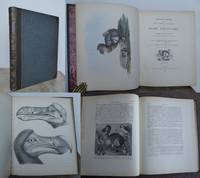 THE DODO AND ITS KINDRED, or the History, Affinities, and Osteology of the Dodo, Solitaire, and Other Extinct Birds of the Islands Mauritius, Rodriguez, and Bourbon. by STRICKLAND, Hugh Edwin and A. G. Melville.: