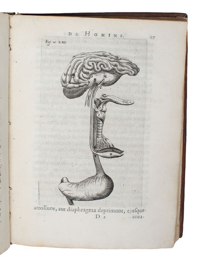 De Homine Figuris et latinate donatus a Florentio Schuyl, Inclytæ Urbis Sylvæ Ducis Senatore, & ibidem Philosophiæ Professore. - [THE FIRST TEXTBOOK OF PHYSIOLOGY] (photo 2)