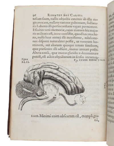 De Homine Figuris et latinate donatus a Florentio Schuyl, Inclytæ Urbis Sylvæ Ducis Senatore, & ibidem Philosophiæ Professore. - [THE FIRST TEXTBOOK OF PHYSIOLOGY] (photo 3)