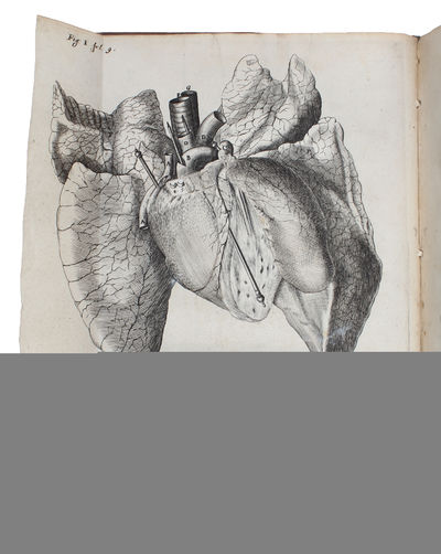 De Homine Figuris et latinate donatus a Florentio Schuyl, Inclytæ Urbis Sylvæ Ducis Senatore, & ibidem Philosophiæ Professore. - [THE FIRST TEXTBOOK OF PHYSIOLOGY] (photo 4)