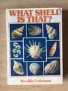 WHAT SHELL IS THAT?