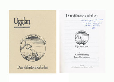 Den idéhistoriska bilden.