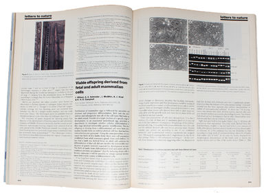 Viable offspring derived from fetal and adult mammalian cells. [In: Nature. Vol 385, no. 6619, 27 February, 1997].  - [DOLLY, THE WORLD'S MOST FAMOUS CLONE] (photo 2)
