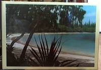 image of Reflections of New Caledonia