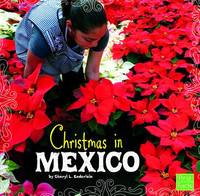 Christmas in Mexico