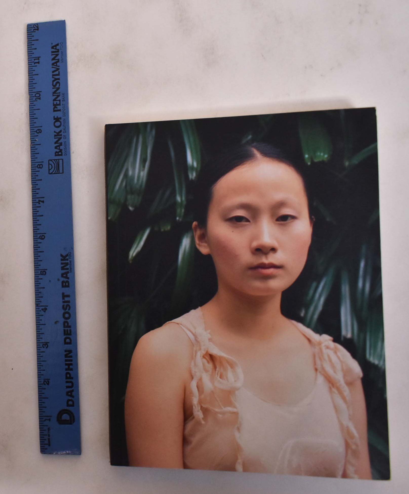 Marco Van Duyvendijk: Portraits From Asia by Strong, Daniel J 
