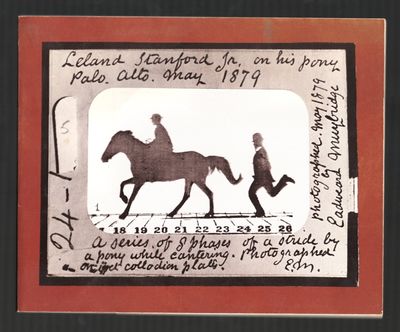 Eadweard Muybridge: The Stanford Years, 1872-1882 [*SIGNED* by Adolph  Zukor]