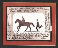 Eadweard Muybridge: The Stanford Years, 1872-1882 [*SIGNED* by Adolph  Zukor]