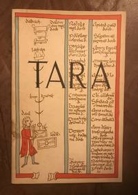 Tara The Monuments On The Hill
