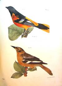 NATURAL HISTORY OF NEW YORK. ZOOLOGY OF NEW YORK, OR THE NEW YORK FAUNA.... PART II. BIRDS