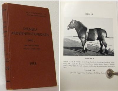 Svenska Ardennerstamboken. 1958. Rasstambok för…