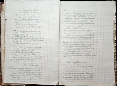 A Book of Poems by Amateur Poet Mary S. Fay, With Several Concerning Temperance and Women’s Suffrage