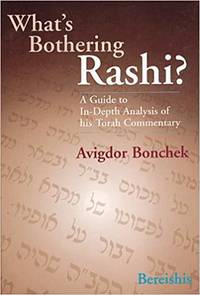 cover of What's Bothering Rashi? - Bereishis (What's Bothering Rashi Series)
