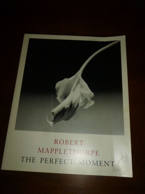 Robert Mapplethorpe: The Perfect Moment by Kardon, Janet