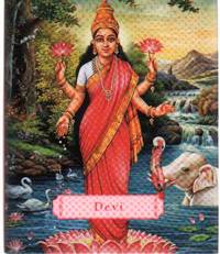 cover of DEVI The Divine Goddess