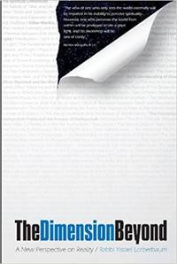 cover of The Dimension Beyond: a New Perspective on Reality