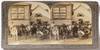 [Stereoview]: Jersey Cattle, the Most Famous Product of the Island of Jersey, France
