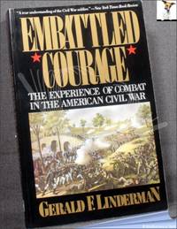 Embattled Courage: The Experience of Combat in the American Civil War