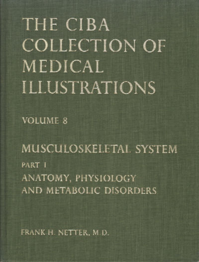 MUSCULOSKELETAL SYSTEM. Part I: Anatomy,…