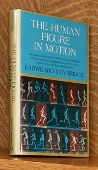 image of THE HUMAN FIGURE IN MOTION