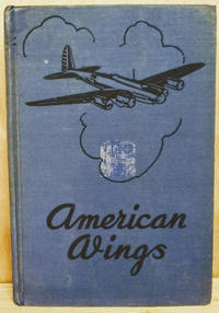 image of American Wings: Modern Aviation for Everyone