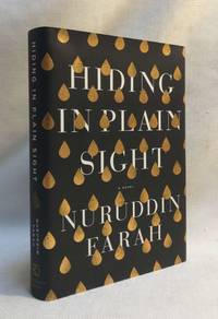 Hiding in Plain Sight: A Novel