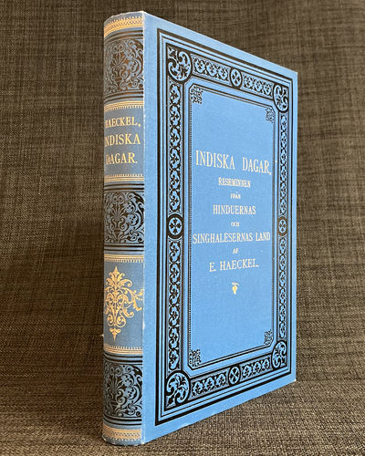 Indiska dagar, reseminnen från hinduernas och…