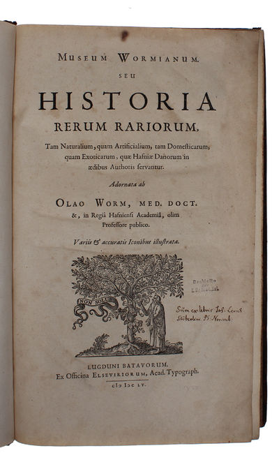 Museum Wormianum. Seu Historia Rerum rariorum, Tam Naturalium, quam Artificialium, tam Domesticarum, quam Exoticarum, quæ Hafniæ Danorum in ædibus Authoris servantur. Adornata ab...Variis & accuratis Iconibus illustrata. - [MUSEUM WORMIANUM] (photo 14)