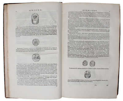 Museum Wormianum. Seu Historia Rerum rariorum, Tam Naturalium, quam Artificialium, tam Domesticarum, quam Exoticarum, quæ Hafniæ Danorum in ædibus Authoris servantur. Adornata ab...Variis & accuratis Iconibus illustrata. - [MUSEUM WORMIANUM] (photo 6)
