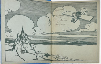 The Teddy Bearoplane; (photo 1)
