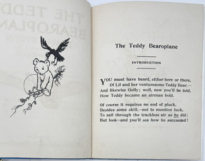 The Teddy Bearoplane; (photo 3)